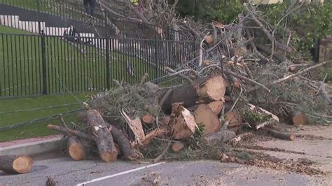 Hurricane Hilary: Damage in SoCal expected to include downed trees, flooding